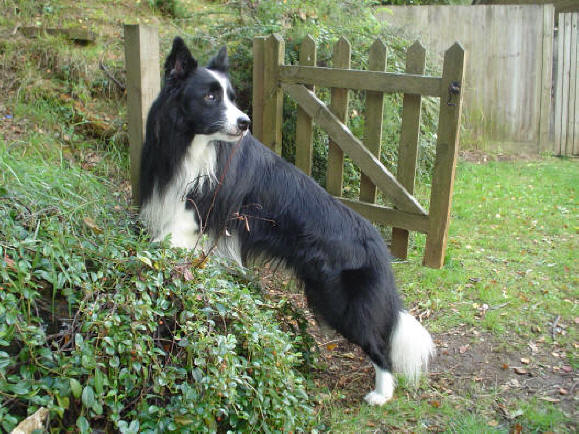 Harry on the Bank