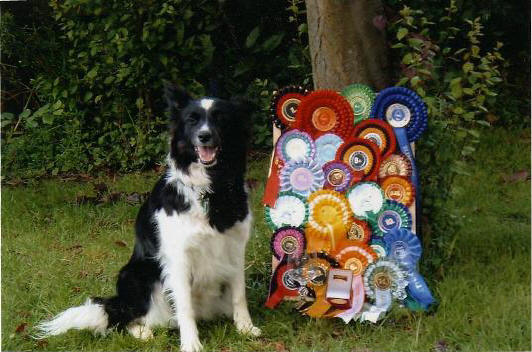 Jess and rosettes